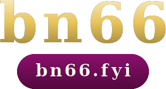bn66 logo